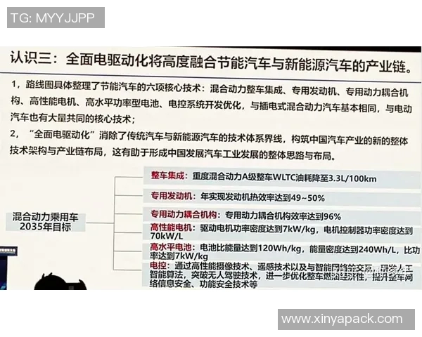 重庆篮球队技术分析与战术创新的深度探讨与未来展望